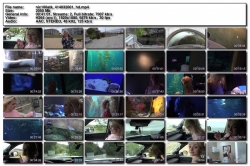 Nicole Nichols Norcal Part 5