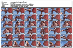 We Try Shoot For You